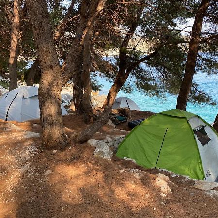 فندق Pine Side Camp هيماري المظهر الخارجي الصورة