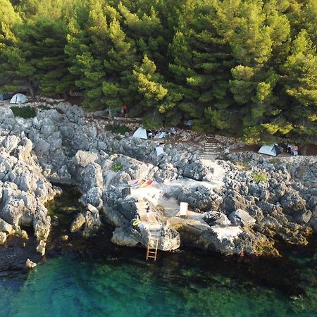 فندق Pine Side Camp هيماري المظهر الخارجي الصورة