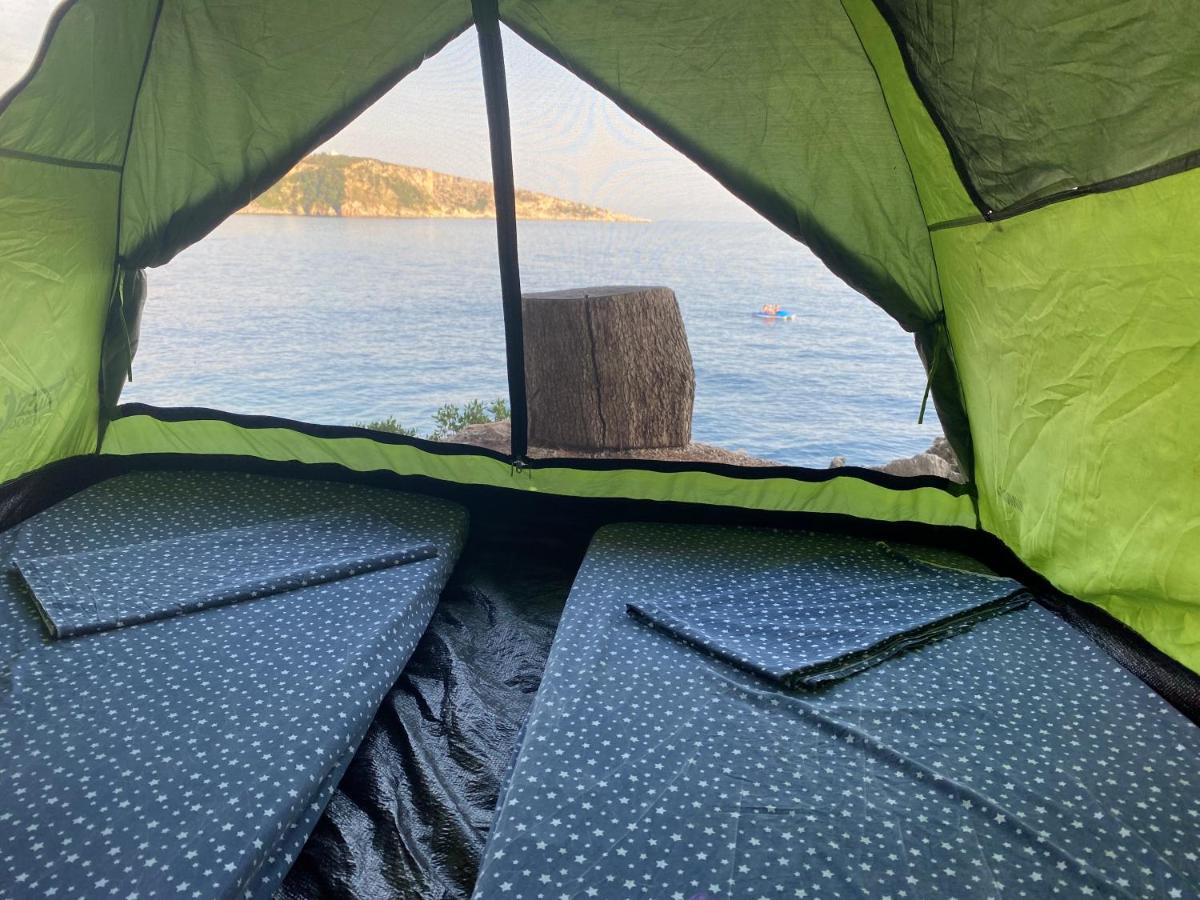 فندق Pine Side Camp هيماري المظهر الخارجي الصورة