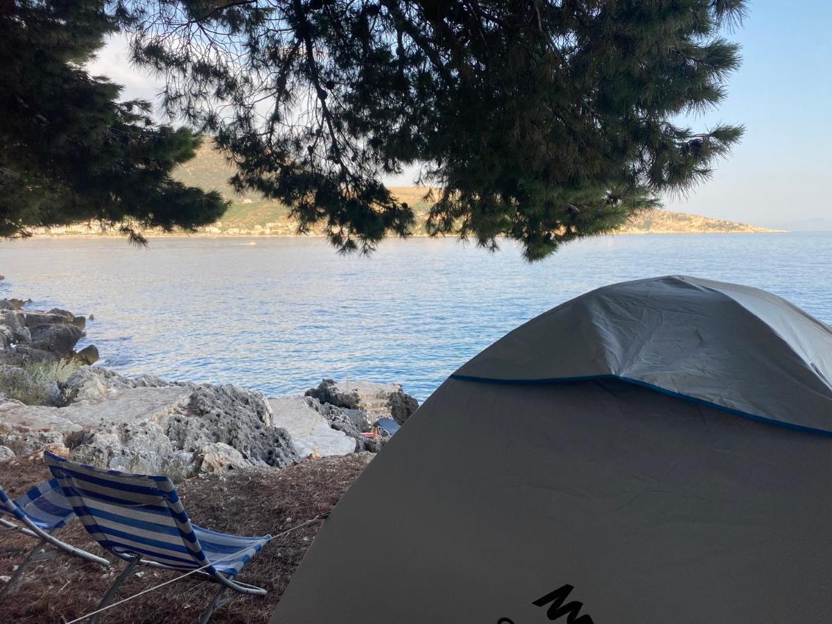 فندق Pine Side Camp هيماري المظهر الخارجي الصورة