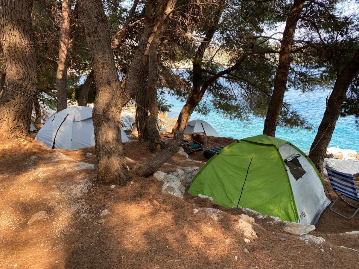فندق Pine Side Camp هيماري المظهر الخارجي الصورة