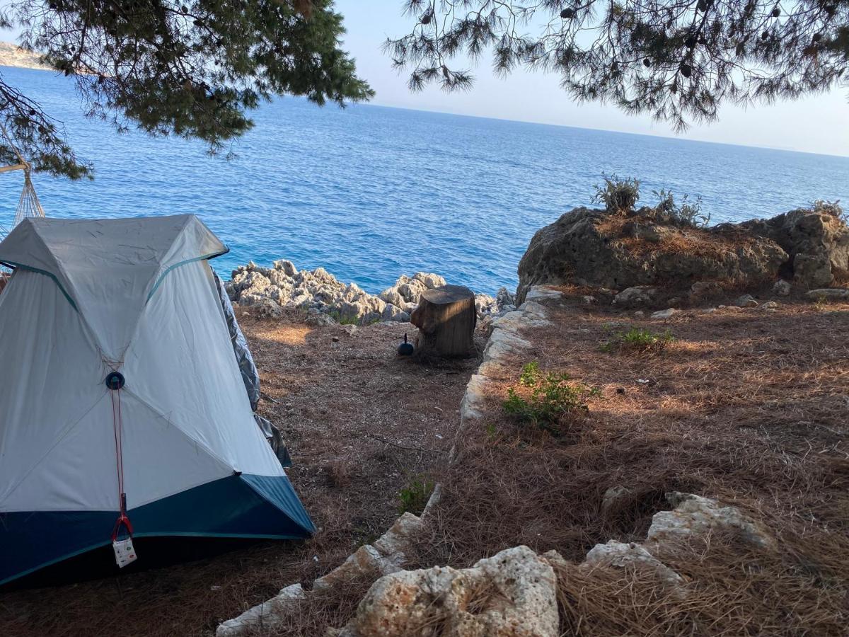 فندق Pine Side Camp هيماري المظهر الخارجي الصورة