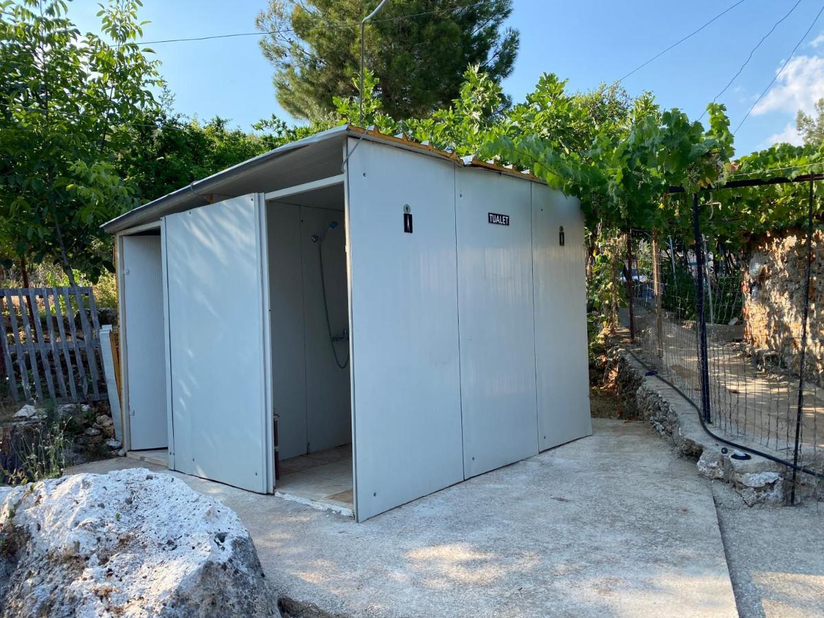 فندق Pine Side Camp هيماري المظهر الخارجي الصورة