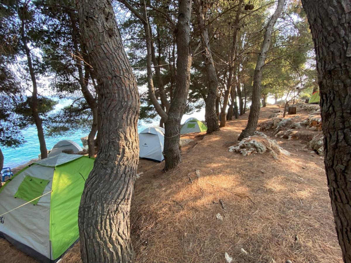 فندق Pine Side Camp هيماري المظهر الخارجي الصورة