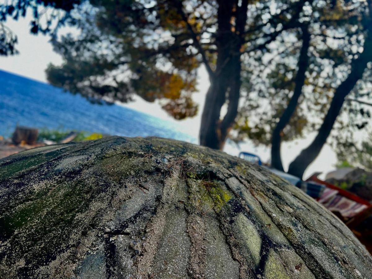 فندق Pine Side Camp هيماري المظهر الخارجي الصورة