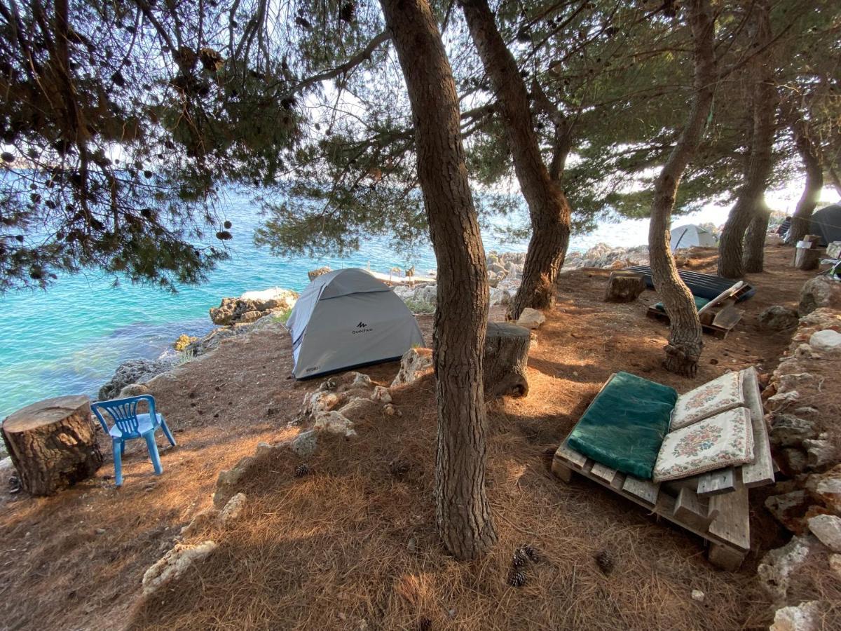 فندق Pine Side Camp هيماري المظهر الخارجي الصورة