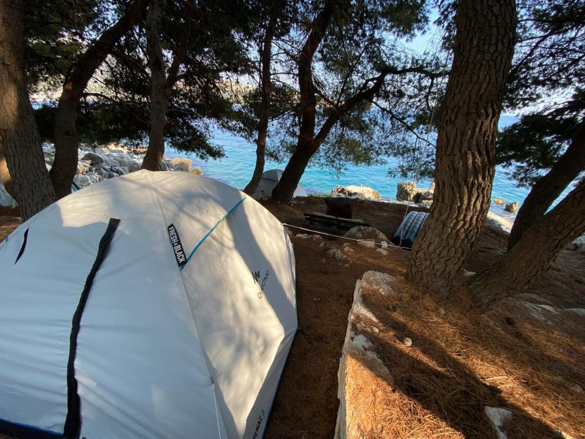 فندق Pine Side Camp هيماري المظهر الخارجي الصورة